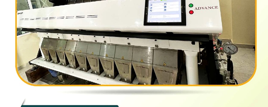 ADVANCE Colour Sorter Machine
