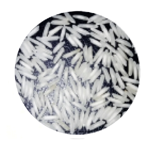 1121 White Basmati