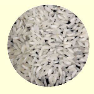 IRRI-6 White Rice